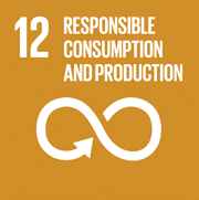 Icon SDG 12: Responsible Consumption and Production