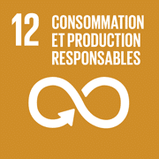 Icône - Objectif de développement durable 12 - Consommation et production durables