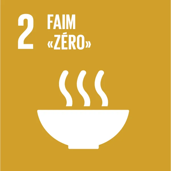 Icône - Objectif de développement durable 2 - Faim zéro