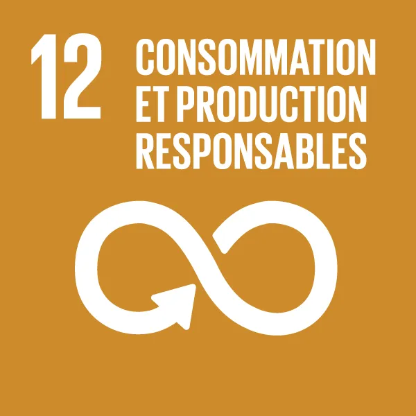 Icône - Objectif de développement durable 12 - Consommation et production responsables
