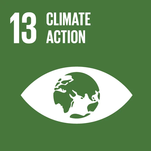 Icon Sustainable Development Goal 13: Climate action