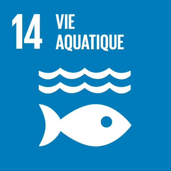 Icône - Objectif de développement durable 14 - Vie aquatique