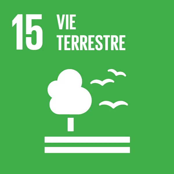Icône - Objectif de développement durable 15 -Vie terrestre