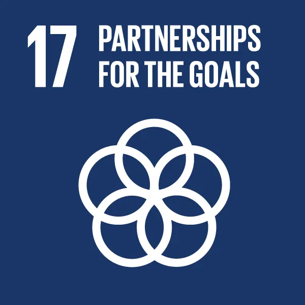 Icon Sustainable Development Goal 17: Partnerships for the goals